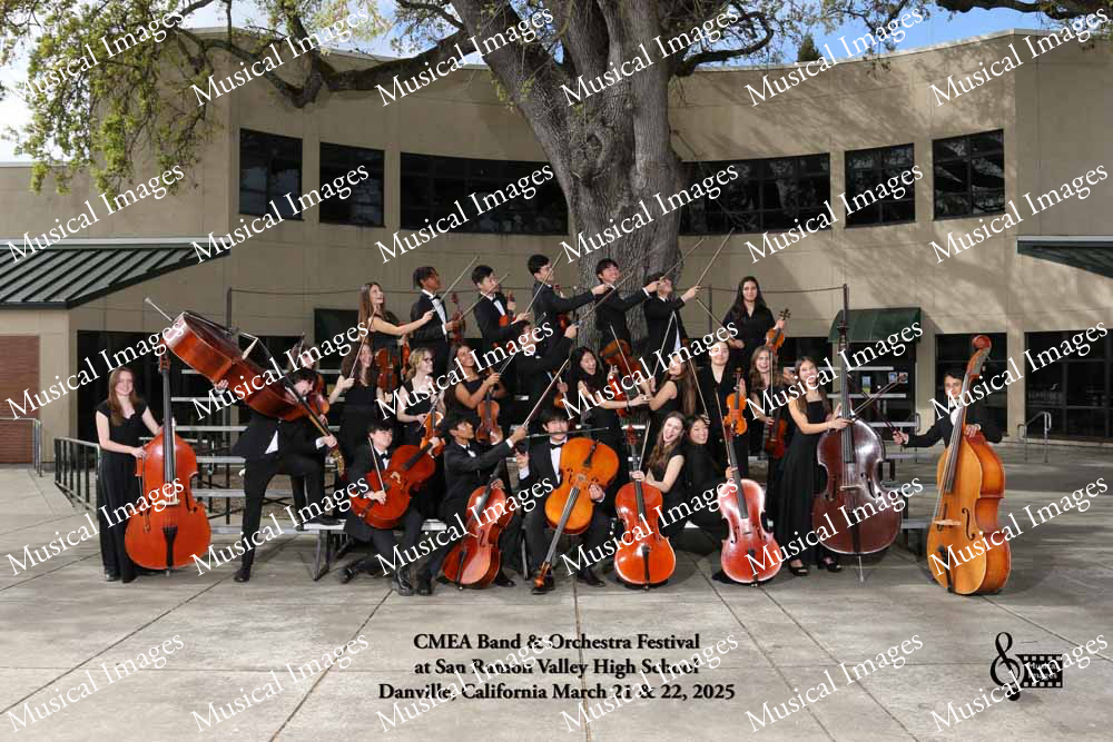 Musical Images